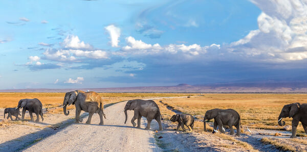 Discover East Africa Tours and flights holiday experience