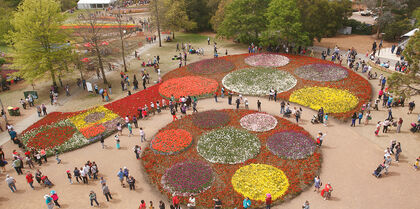 Canberra Floriade Festival