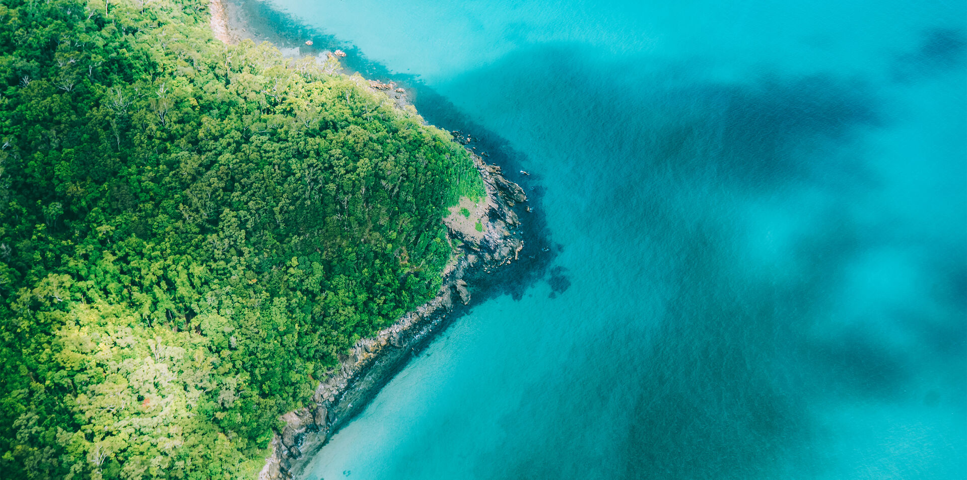 Tropical Rainforest and Reef