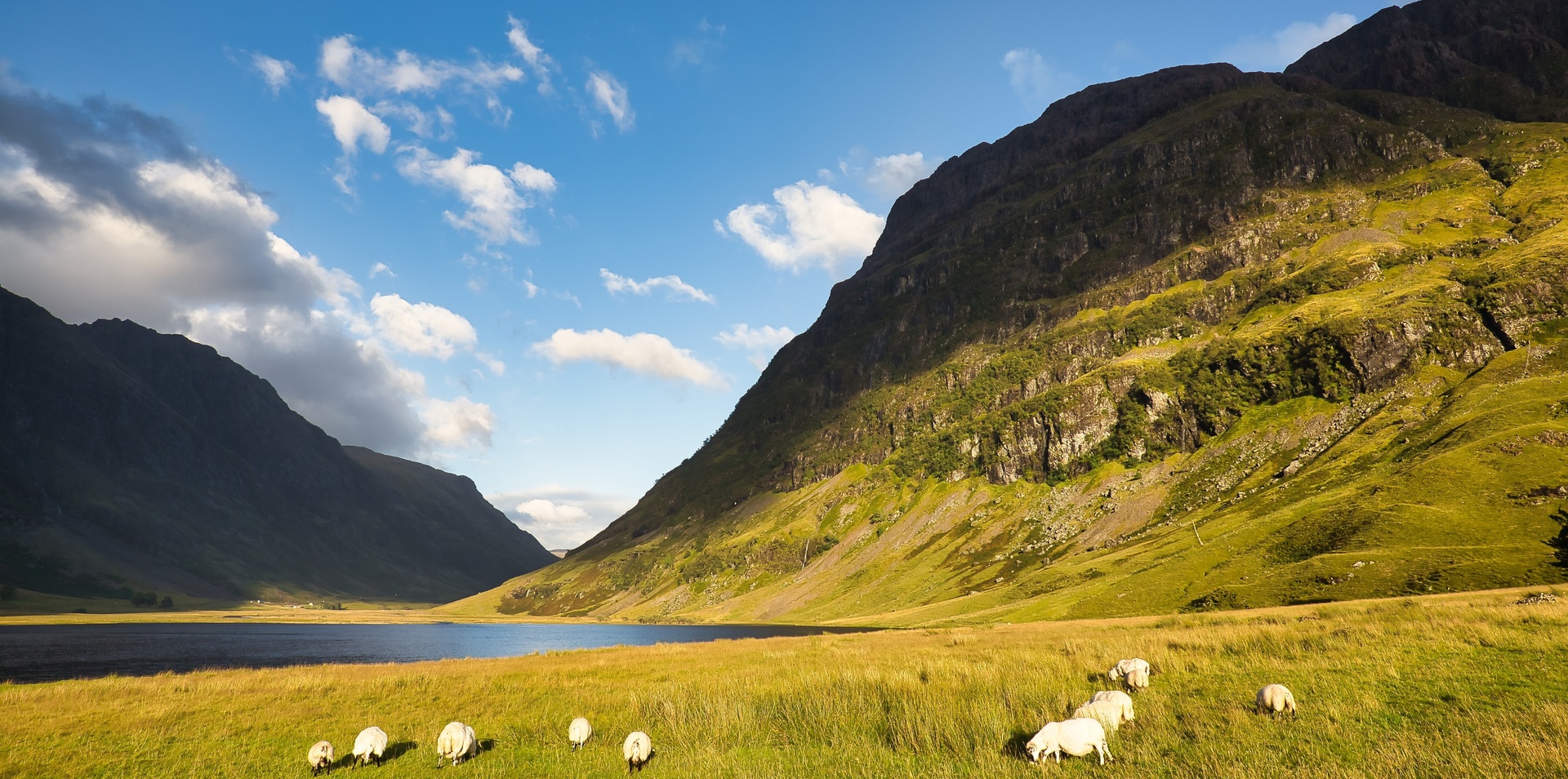 Scotland's Lochs and Landscapes